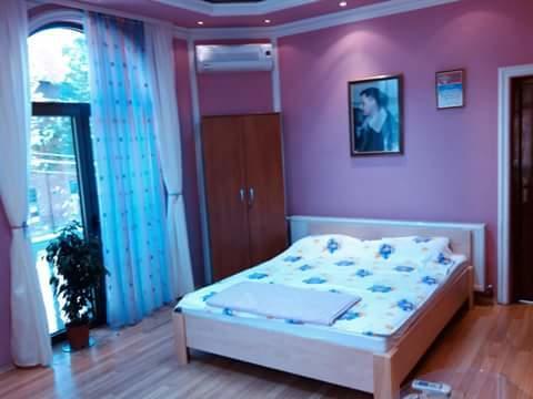Guest house Ćane Smestaj Bela Crkva  Extérieur photo